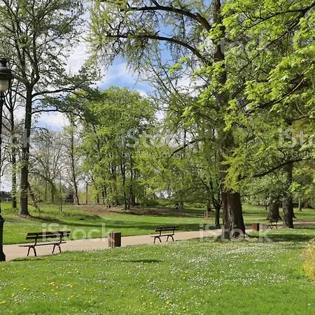 Palais Des Sources * Vichy